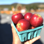 Juvenile Detention, Montana Triangle, and More…
