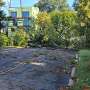 Storm Recovery, Ward 5 Week Schedule, and Labor Day